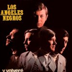 Los Ángeles Negros - Cómo quisiera decirte
