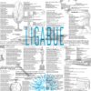 Ligabue - Non è tempo per noi