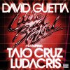 David Guetta ft. Taio Cruz & Ludacris - Little Bad Girl